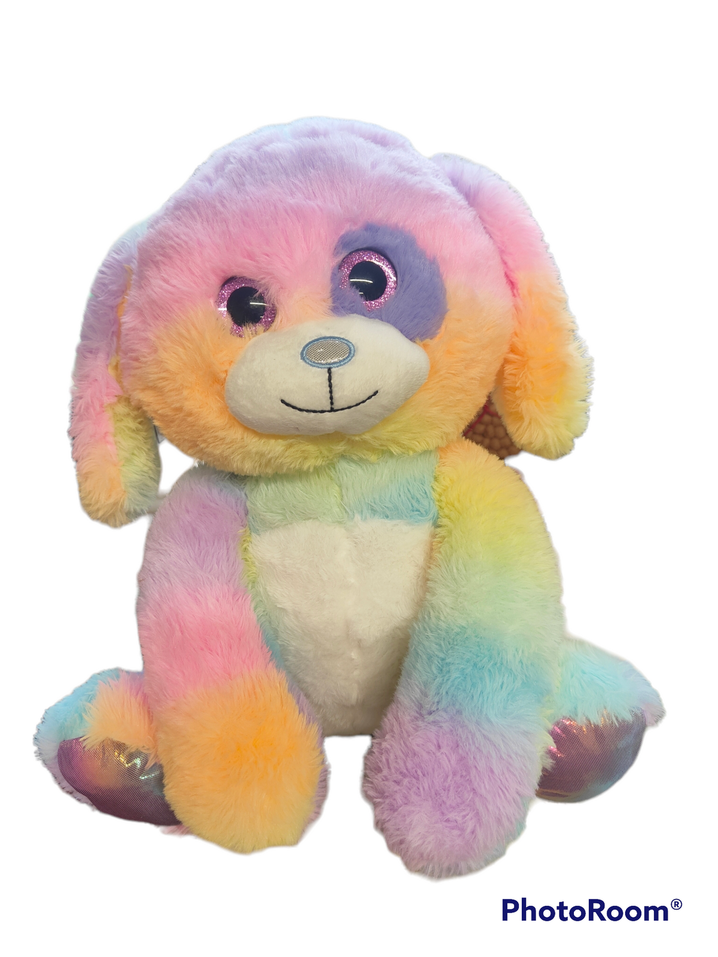 Dinky the weighted Rainbow Dog