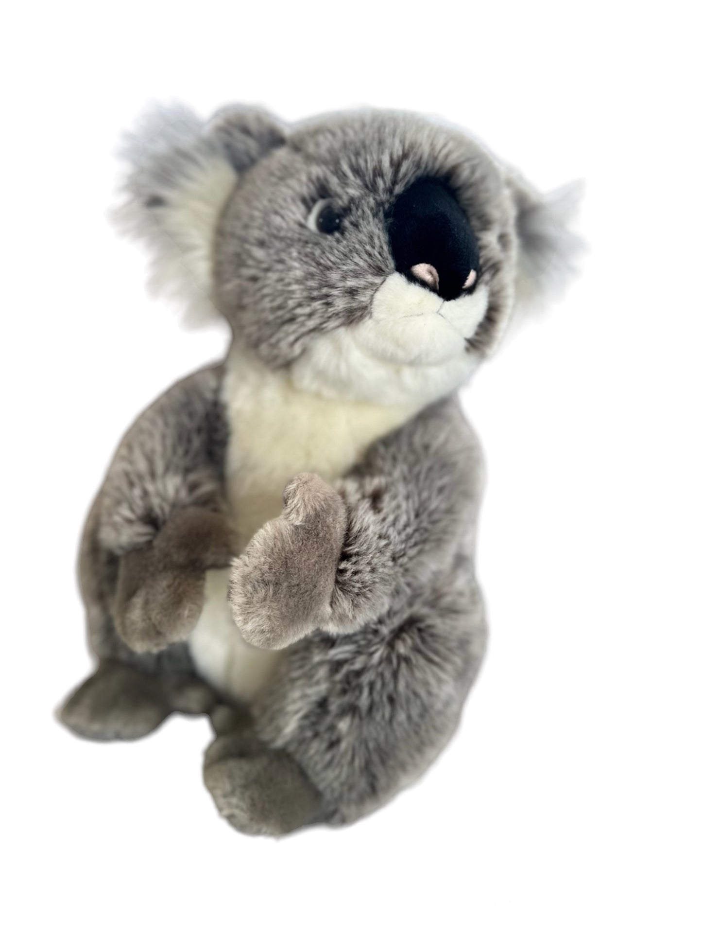 Kaka the Weighted Koala